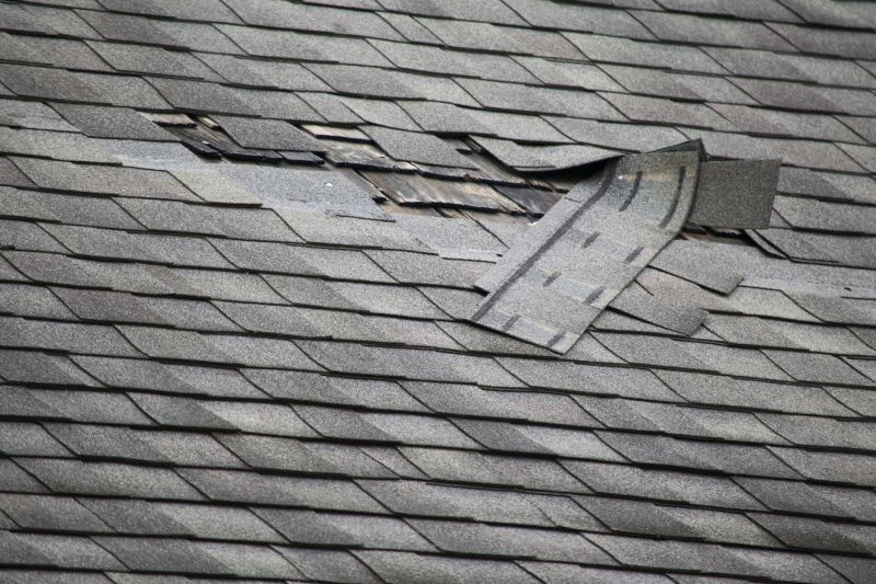 Roof Surface Condition