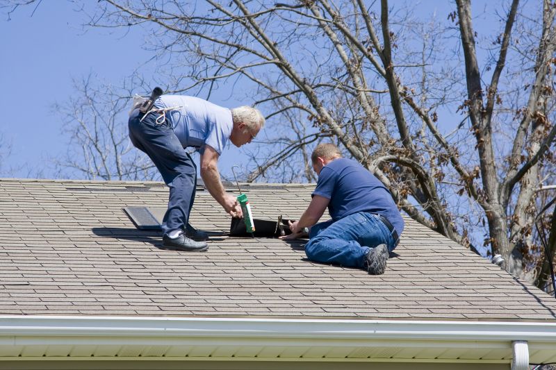 Roof Sealant Repair